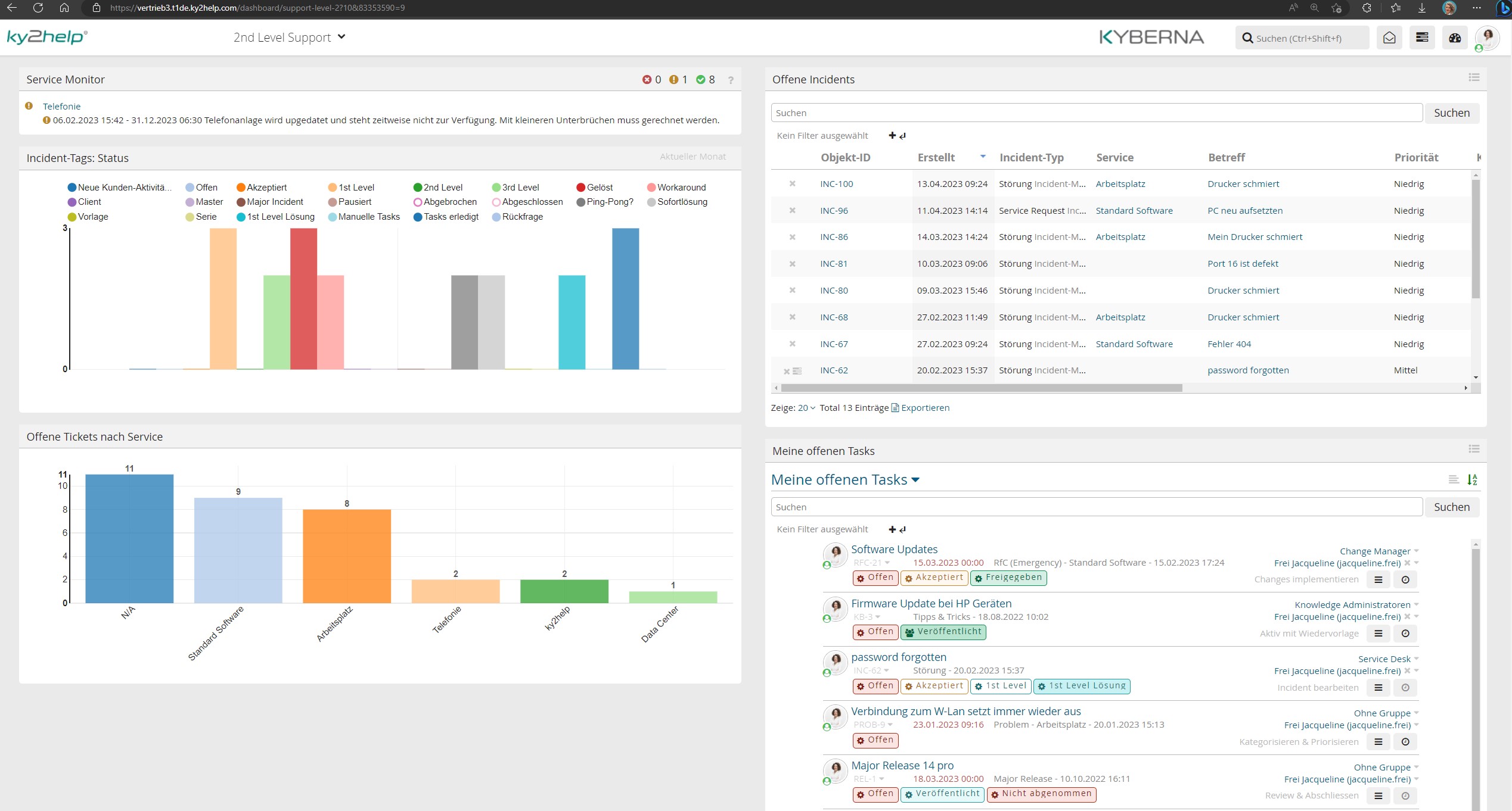 Individualisierbare Management Dashboards 2